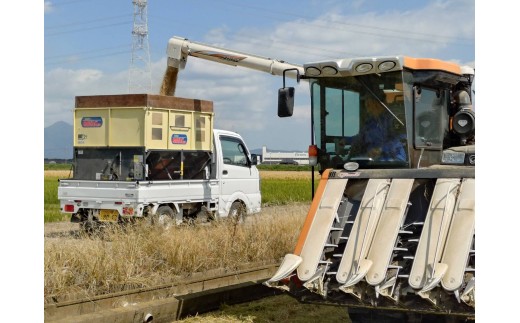 令和7年産 精米 コシヒカリ 5kg 茨城県常総市産