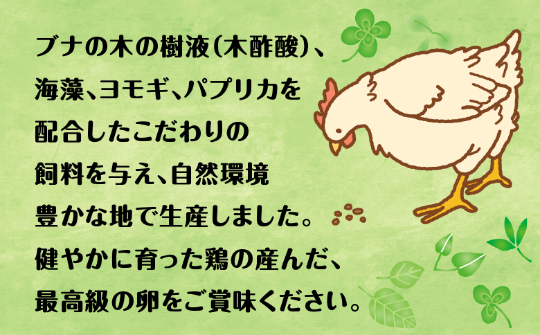 【定期便】12回定期 【天王原のたまご】 サクセス卵 50個入り