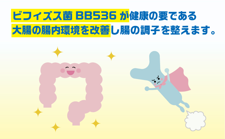 森永カルダスヨーグルトドリンクタイプ1ケース（12本） ※沖縄県・離島への配送不可