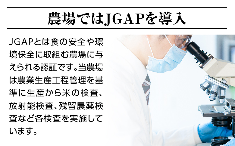 令和六年産特別栽培米コシヒカリ4.5kg 玄米