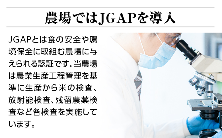 令和六年産特別栽培米コシヒカリ9kg（4.5kg×2袋）精米