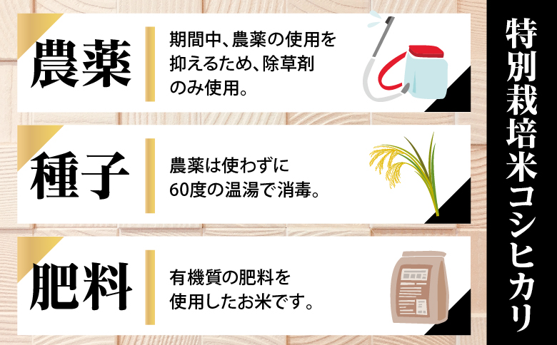 令和7年産特別栽培米 コシヒカリ 5kg お米 コシヒカリ ※2025年9月中旬頃より順次発送予定