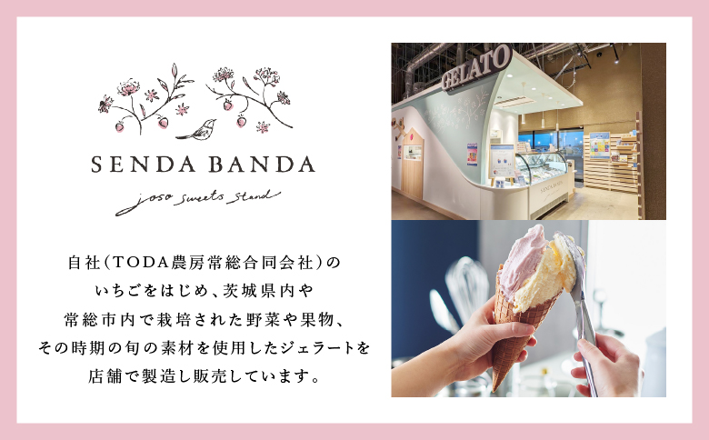 SENDA BANDA ジェラート詰め合わせ＜120ml×6個＞