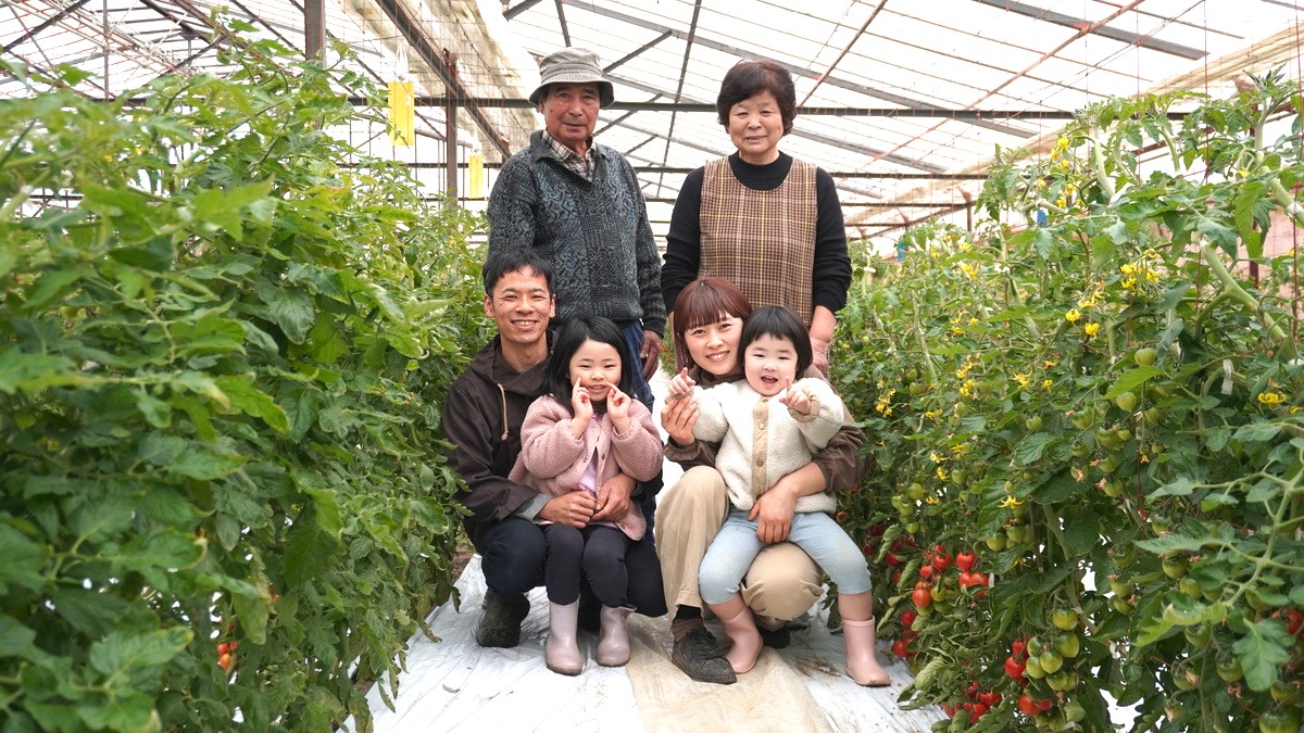 うめちゃんトマト(大玉トマト・中玉トマト 合計約1.5kg)｜野菜 やさい サラダ 甘い あまい リコピン ハウストマト 健康 食物繊維 美容 美肌 新鮮 食品 食材 ダイエット ヘルシー パスタ ソース 料理 調理 ※2026年4月下旬～6月上旬頃に順次発送予定 ※沖縄・離島への配送不可