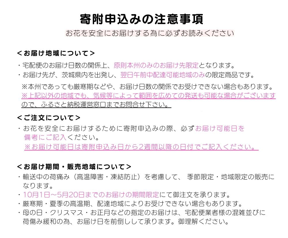 季節のアソート　スタンダードコース