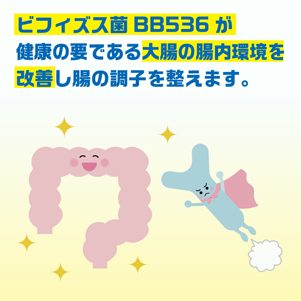 【11ヵ月定期便】森永 カルダスヨーグルト ドリンクタイプ 1ケース（12本）
