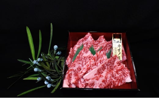 【茨城県共通返礼品】茨城県産【常陸牛希少部位】焼肉食べ比べ4種セット