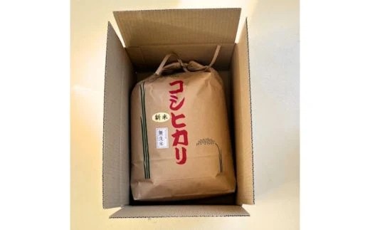 【令和7年産】【無洗米】コシヒカリ5kg 茨城県常総市産 精米｜米 お米 白米 ご飯 コメ こめ こしひかり