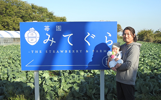 【1月中旬～4月上旬発送】やよいひめ いちご 朝摘み 完熟 大粒 ギフト化粧箱 15粒or12粒 茨城県常総市産 | 苺 イチゴ ※2026年1月中旬～4月上旬頃に順次発送予定