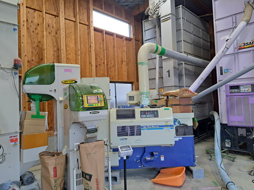 令和7年産 コシヒカリ5kg 精米 常総市産