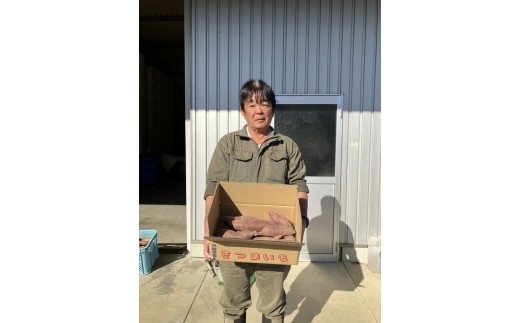 さつまいも（シルクスイート）5kg｜茨城県常総市産 さつまいも サツマイモ お芋 芋 スイーツ ポテト  有機栽培　野菜　国産 ※2025年12月中旬～2026年4月中旬頃に順次発送予定