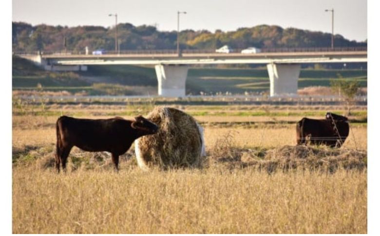 【常陸牛】佐藤さんの A5 ローストビーフ 2パック 合計300ｇ