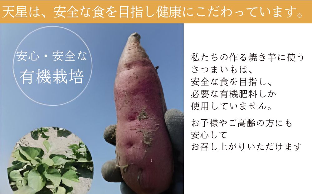 さつまいも 紅はるか 冷凍焼き芋1500g   天星（あまぼし）