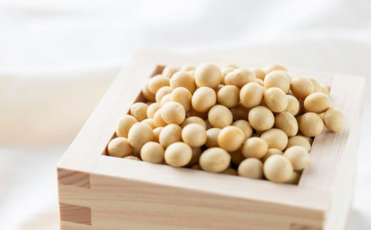 味噌5種類詰合せ 各1kg 合計5kg | 特上白みそ 粒みそ 浮糀みそ 麦みそ 合せみそ 【味噌 ミソ みそ 味噌汁 味噌セット みそセット お味噌詰め合わせ おみそ詰め合わせ 調味料 手作りみそ 手作り調味料】