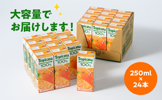 トロピカーナ　100％　オレンジ　250mlLLスリム×24本 | ジュース フルーツジュース オレンジジュース トロピカーナオレンジ パックジュース 紙パック スリムパック 飲みきりサイズ 朝食 常温保存 個包装 保存飲料 ビタミンC まとめ買い