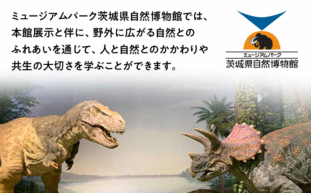 水海道あすなろの里宿泊棟利用券(1泊４名様１部屋)及びミュージアムパーク入場券引換券
