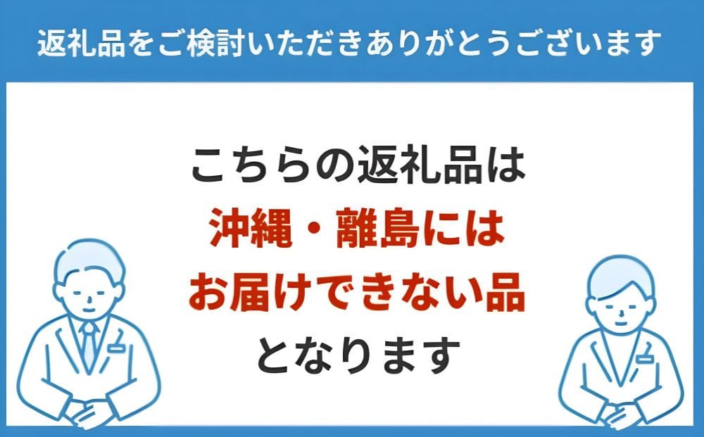 【定期便・隔月全6回】直火焼 ハンバーグ デミグラスソース 1セット22個入り 3kg超え 合計132個 ※沖縄県・離島への配送不可