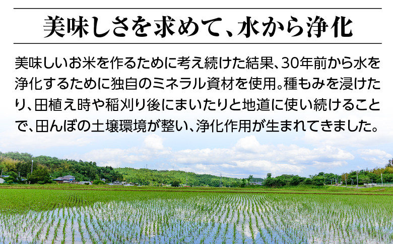 令和六年産特別栽培米コシヒカリ18.0kg（4.5kg×4袋）玄米