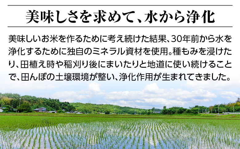 令和六年産特別栽培米コシヒカリ9kg（4.5kg×2袋）精米