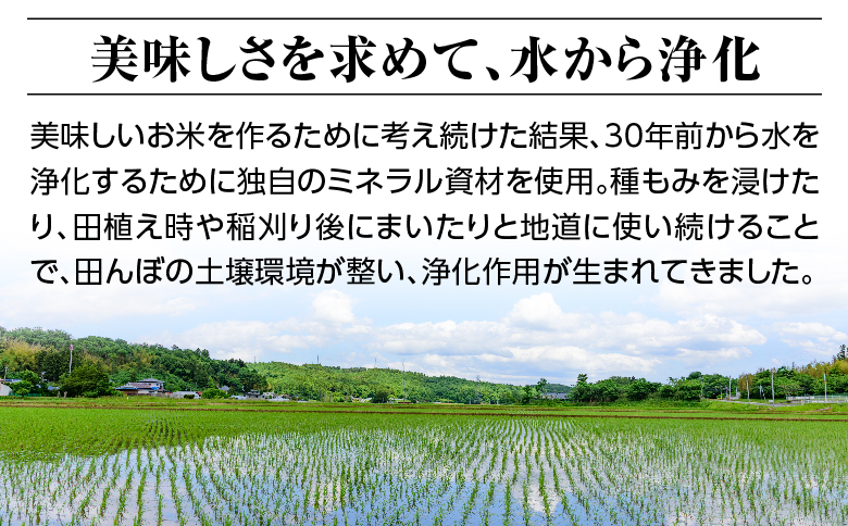 令和六年産特別栽培米コシヒカリ18.0kg（4.5kg×4袋）精米
