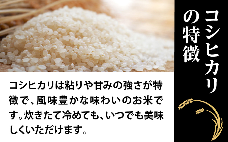 令和7年産特別栽培米 コシヒカリ 5kg お米 コシヒカリ ※2025年9月中旬頃より順次発送予定