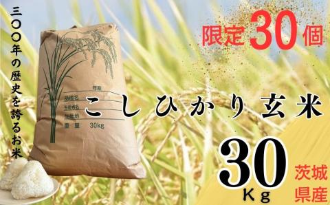 限定30個【300年のお米】茨城県産コシヒカリ30Kg 常総市 玄米: 常総市 