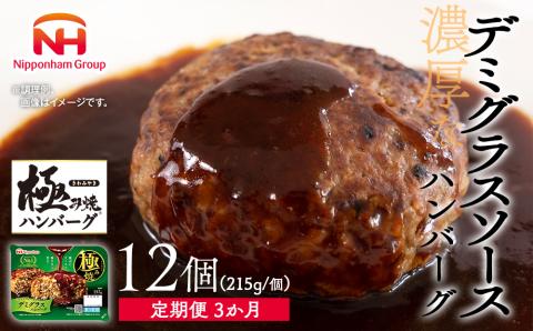 極み焼きハンバーグ（デミグラスソース）セット定期便3か月 定期便