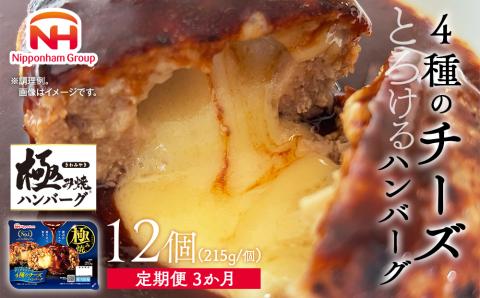 極み焼きハンバーグ（4種のチーズソース）セット定期便3か月 定期便