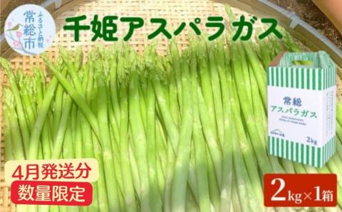 【4月発送分】千姫アスパラガス 丁寧にすべてを手作業で丹精を込めて作りあげた 自信のアスパラガス ※2025年4月上旬～4月下旬頃に順次発送予定 ※沖縄・離島への配送不可