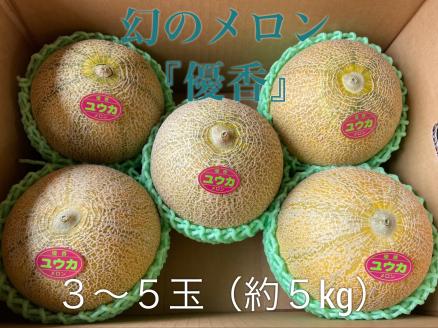 【先行予約】令和7年 優香メロン 3～5玉（約5kg）甘くてジューシーなメロン 幻の優香メロンです！ 中々市場では出回らない稀少な品種です♪ めろん 常総市 フルーツ 果物 ※2025年6月中旬～6月下旬頃に順次発送予定 ※沖縄・離島への配送不可