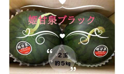 【先行予約】 令和7年 姫甘泉 ブラック 小玉すいか 2玉 ｜ スイカ こだま 常総市 ※2025年8月上旬～9月上旬頃に順次発送予定 ※沖縄・離島への配送不可