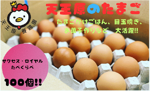 【天王原のたまご】サクセス卵50個/ロイヤル卵50個