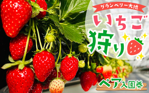 グランベリー大地いちご狩りペア入園券 ※2025年12月上旬～2026年3月下旬頃に順次発送予定