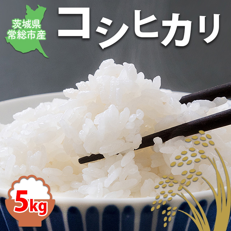 【令和6年産】限定20個 コシヒカリ5kg｜茨城県常総市産 無洗米 在庫有 米 お米 白米 ご飯 コメ こめ こしひかり