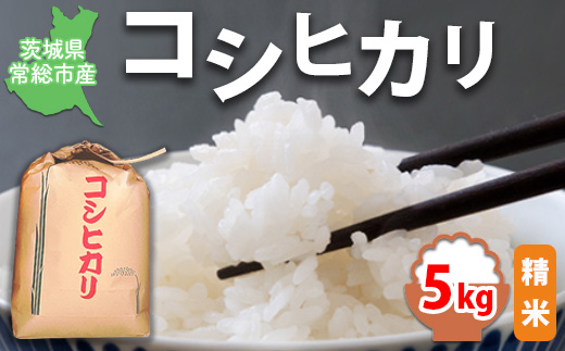 【令和7年産】【精米】コシヒカリ5kg｜茨城県常総市産　精米 米　お米　白米　ご飯　コメ こめ　こしひかり
