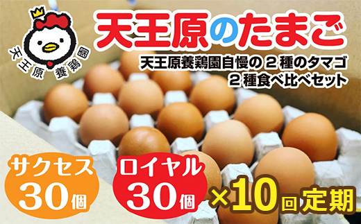 【定期便】10回定期【天王原のたまご】 サクセス卵30個/ロイヤル卵30個 【10回定期便 セット たまご 卵 玉子 タマゴ 濃厚 食べ比べ ハリ 弾力 ボリューム 甘味 旨味 卵黄 風味 生 コク 甘味 卵かけご飯 卵焼き 目玉焼き オムレツ 茶碗蒸し お菓子作り パンの材料】