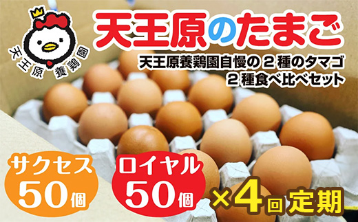 【定期便】4回定期 【天王原のたまご】 サクセス卵50個/ロイヤル卵50個【定期便 4回定期便 セット たまご 卵 玉子 タマゴ 濃厚 ハリ 弾力 ボリューム 甘味 旨味 卵黄 風味 生 コク 甘味 卵かけご飯 卵焼き 目玉焼き オムレツ 茶碗蒸し お菓子作り パンの材料】