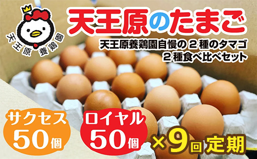 【定期便】9回定期 【天王原のたまご】 サクセス卵50個/ロイヤル卵50個【定期便 9回定期便 セット たまご 卵 玉子 タマゴ 濃厚 ハリ 弾力 ボリューム 甘味 旨味 卵黄 風味 生 コク 甘味 卵かけご飯 卵焼き 目玉焼き オムレツ 茶碗蒸し お菓子作り パンの材料】