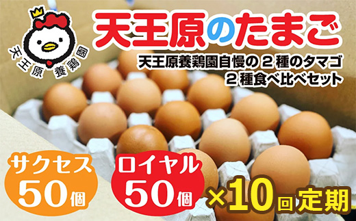 【定期便】10回定期 【天王原のたまご】 サクセス卵50個/ロイヤル卵50個【定期便 10回定期便 セット たまご 卵 玉子 タマゴ 濃厚 ハリ 弾力 ボリューム 甘味 旨味 卵黄 風味 生 コク 甘味 卵かけご飯 卵焼き 目玉焼き オムレツ 茶碗蒸し お菓子作り パンの材料】