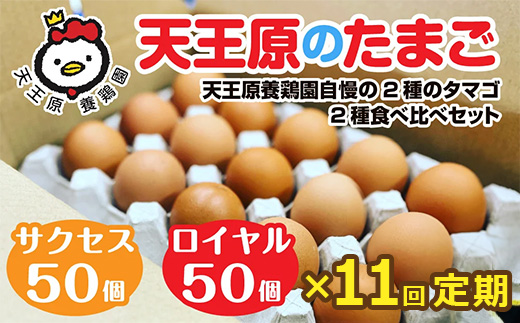 【定期便】11回定期 【天王原のたまご】 サクセス卵50個/ロイヤル卵50個【定期便 11回定期便 セット たまご 卵 玉子 タマゴ 濃厚 ハリ 弾力 ボリューム 甘味 旨味 卵黄 風味 生 コク 甘味 卵かけご飯 卵焼き 目玉焼き オムレツ 茶碗蒸し お菓子作り パンの材料】