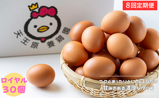 【定期便】8回定期 【天王原のたまご】 ロイヤル卵 30個入り 定期便 たまご 卵