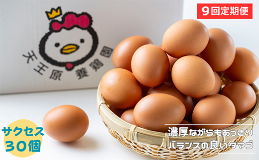 【定期便】 9回定期【天王原のたまご】 サクセス卵 30個入り 定期便 たまご 卵