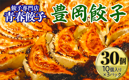 餃子専門店青春餃子　豊岡餃子10個入り×3パック 30個