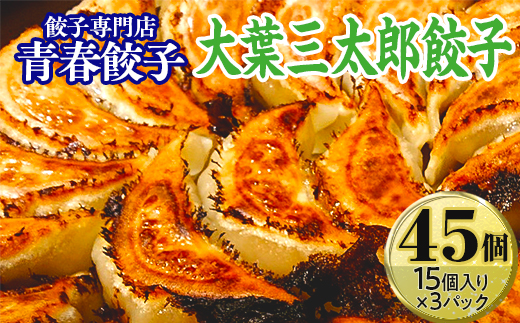 餃子専門店青春餃子　大葉三太郎餃子15個入り×3パック 45個