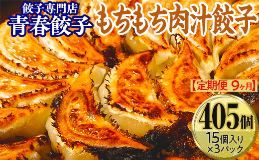 【定期便9ヶ月】餃子専門店青春餃子 もちもち肉汁餃子15個入り×3パック 45個（計405個）