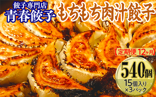 【定期便12ヶ月】餃子専門店青春餃子 もちもち肉汁餃子15個入り×3パック 45個（計540個）