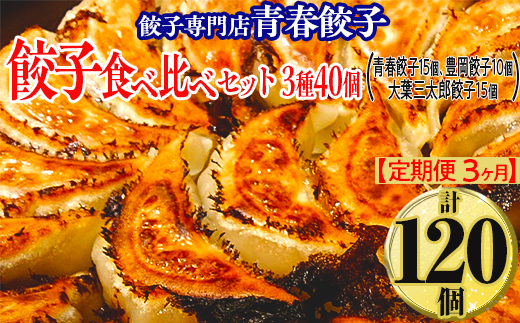 【定期便3ヶ月】餃子専門店青春餃子 餃子食べ比べセット 3種40個（青春餃子15個、豊岡餃子10個、大葉三太郎餃子15個）（計120個）