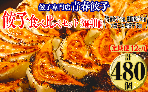【定期便12ヶ月】餃子専門店青春餃子 餃子食べ比べセット 3種40個（青春餃子15個、豊岡餃子10個、大葉三太郎餃子15個）（計480個）