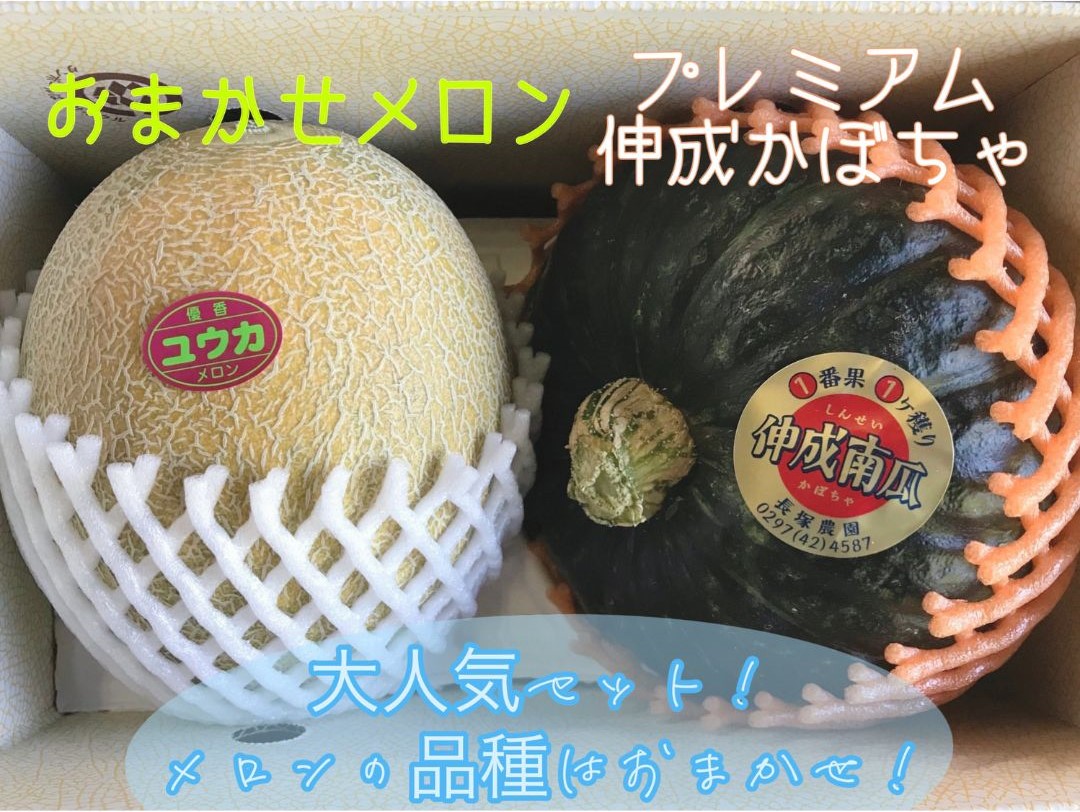 【先行予約】数量限定 令和7年 訳あり プレミアム伸成かぼちゃ・メロン（品種おまかせ） ※2025年7月中旬～7月下旬頃に順次発送予定 ※沖縄・離島への配送不可