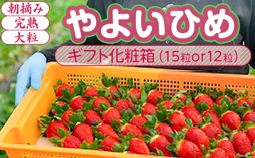 【1月中旬～4月上旬発送】やよいひめ いちご 朝摘み 完熟 大粒 ギフト化粧箱 15粒or12粒 茨城県常総市産 | 苺 イチゴ ※2026年1月中旬～4月上旬頃に順次発送予定